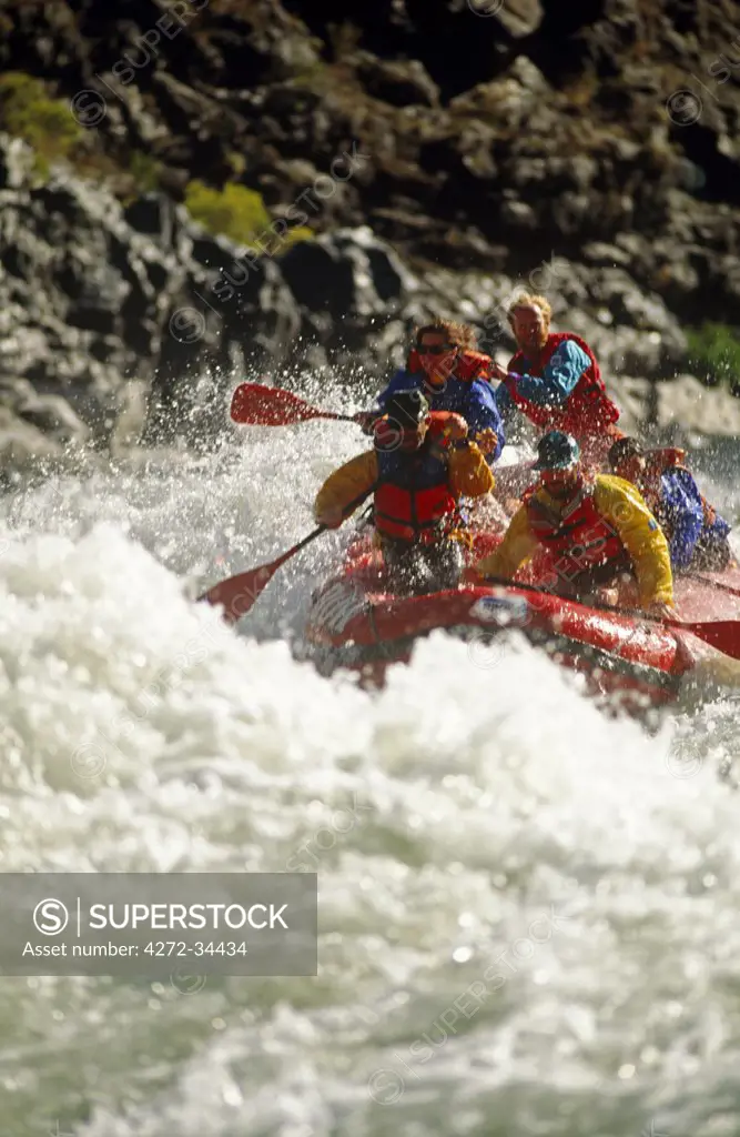 USA, Idaho. Whitewater rafting on the Snake River in Hells Canyon.