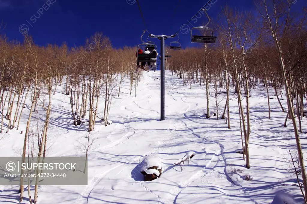 USA, Colorado, Vail Ski Resort. Skiers being carried through a grove of apsen trees on a chair lift in Vail back bowls