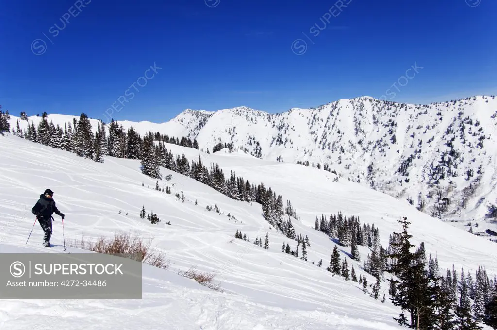 USA, Utah, Salt Lake City. Alta Ski Resort, one of the only resorts in America for skiers only