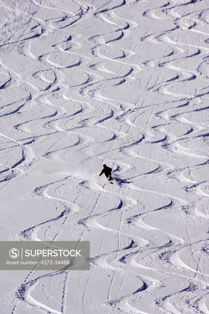 USA Utah Salt Lake City Alta Ski Resort Fresh powder tracks, Alta is one of the only resorts in America for skiers only
