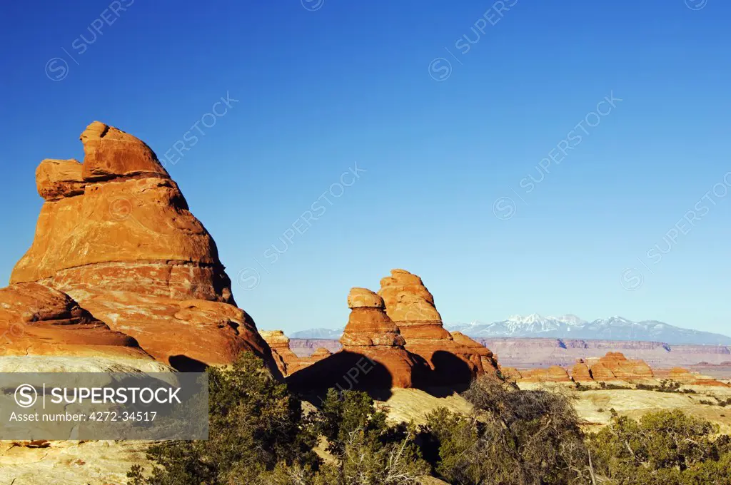 USA, Utah, Canyonlands National Park. Cedar Mesa Sandstone Spires in the Needles Region
