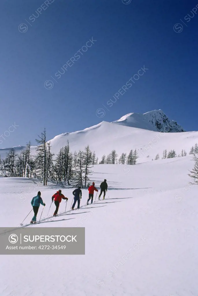 USA, Washington. Ski mountaineering in the Chiwaukum mountains, Alpine Lakes Wilderness, Washington State, USA