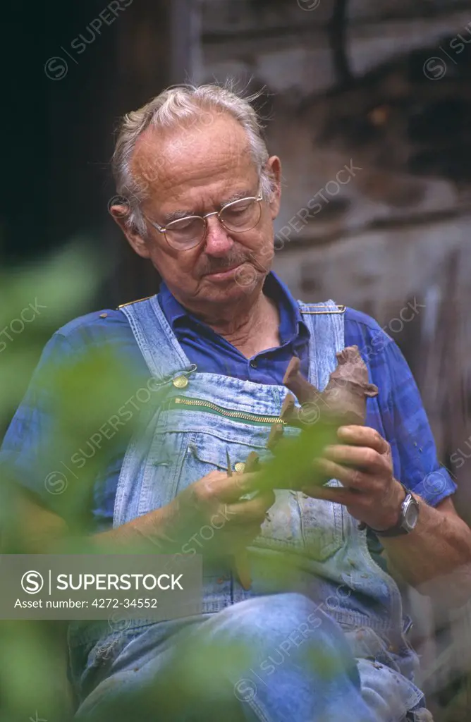 USA, Tennessee. Local man carving a wooden bear, Gatlinburg, Tennessee State, USA