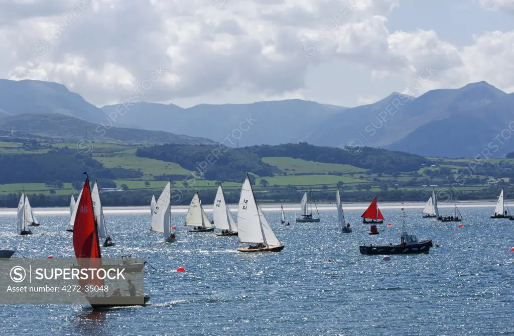 Wales, Anglesey, Beaumaris. Dinghies race during a regatta on the Menai Straits against the backdrop of the Snowdonia Mountains.