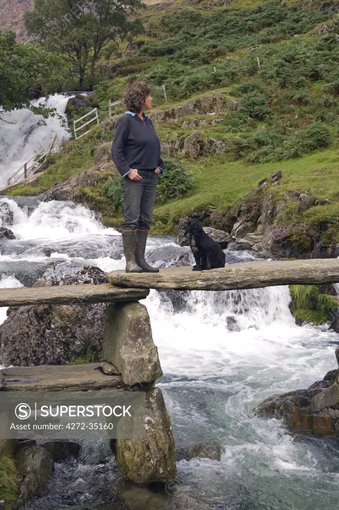 Wales, Conwy, Snowdonia.  Woman and dog on a rustic bridge over the Afon Cwm Llan alongside the Watkin Path on the route into Snowdon