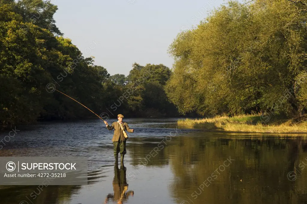 Wales, Wrexham. A trout fisherman casting on the River Dee. (MR)