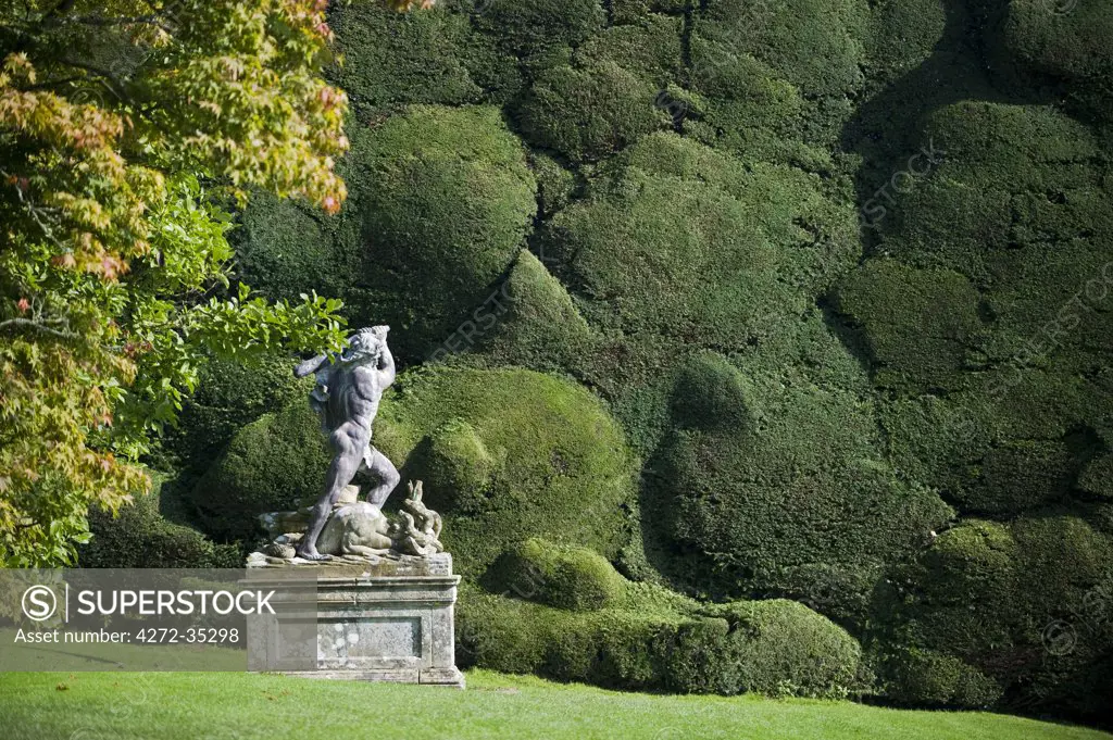Wales; Powys; Welshpool. Statue of Hercules killing the Hydra against the backdrop of a massive yew hedge in the spectacular garden at  Powis Castle