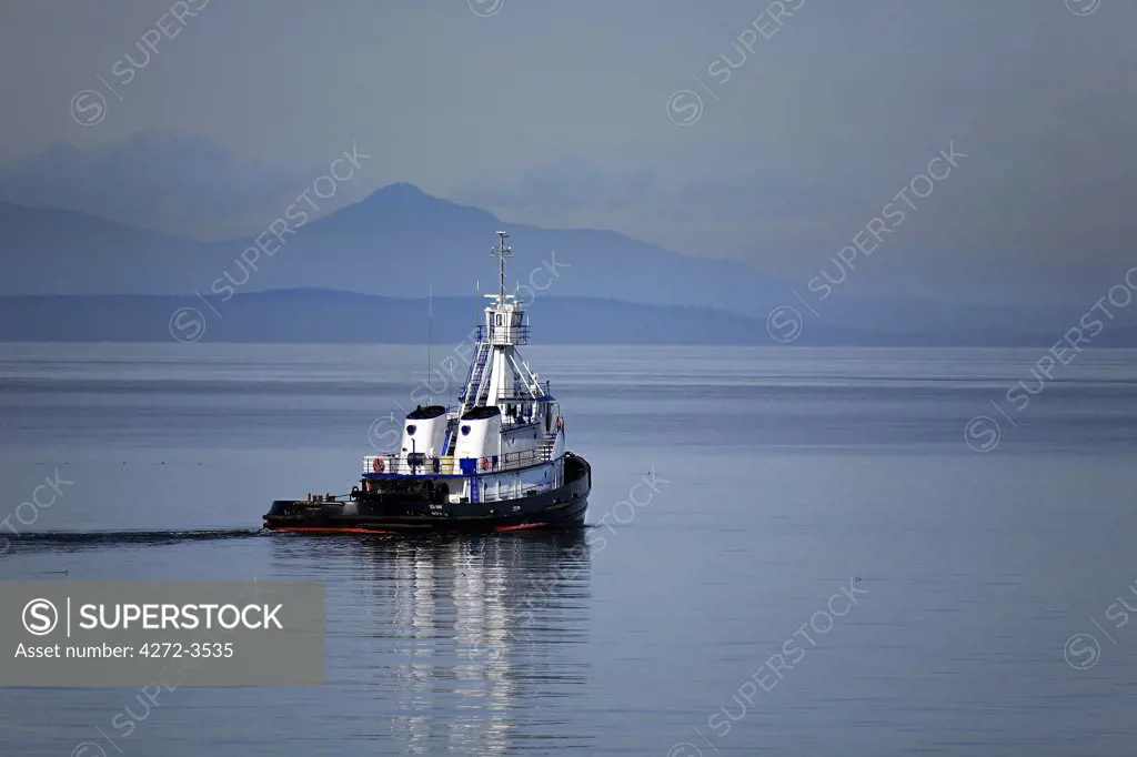Canada, British Columbia, Tsawwassen, Pilot tug boat in Tsawwassen Harbour.