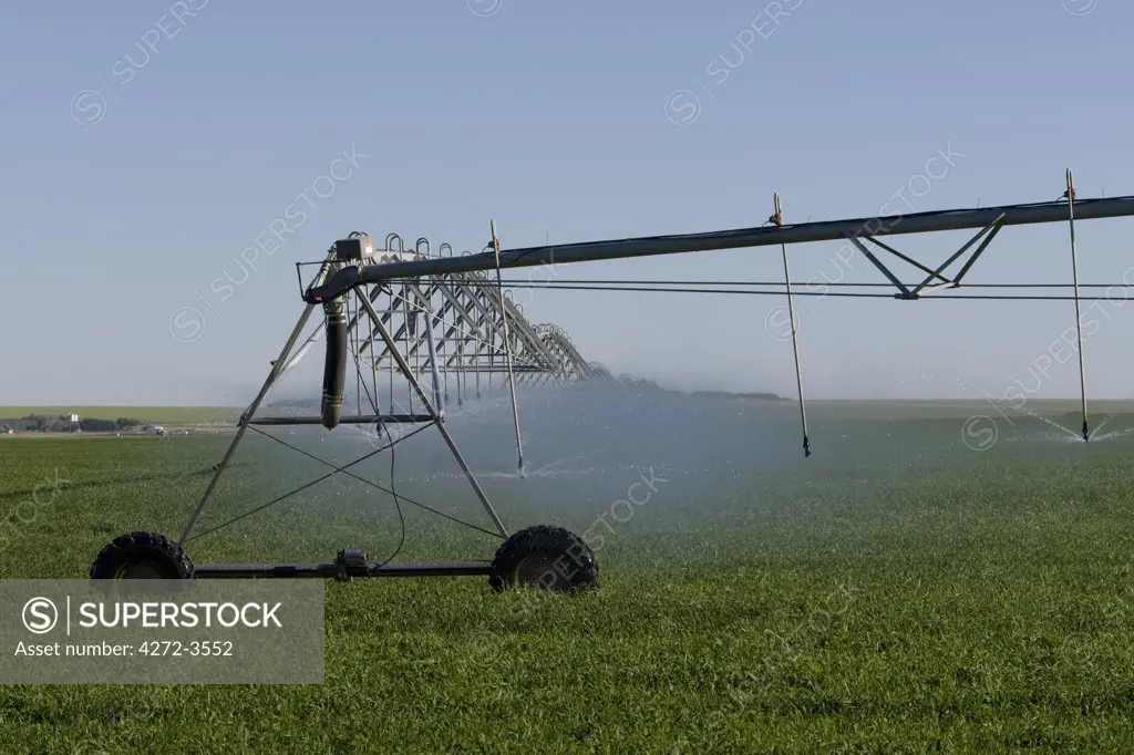 Sackatchewan Canada. An irrigation pivot spraying water on a  crop in a field