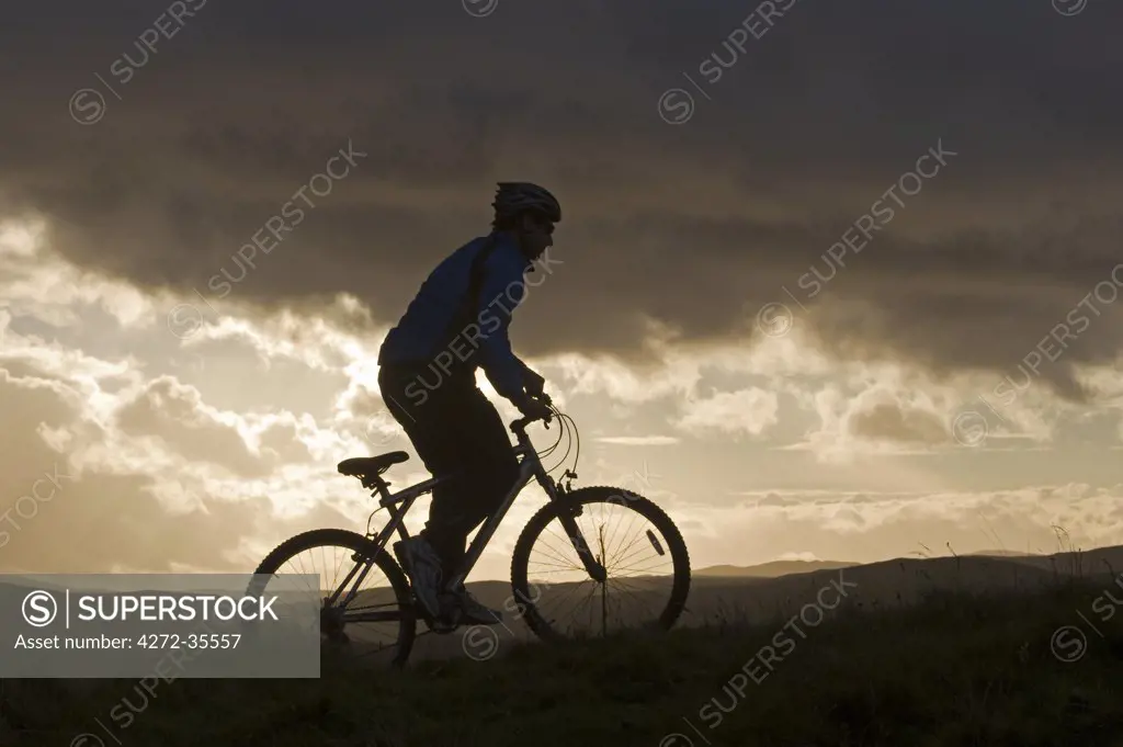 Gilar Farm, Snowdonia, North Wales. Man mountain biking .  (MR)