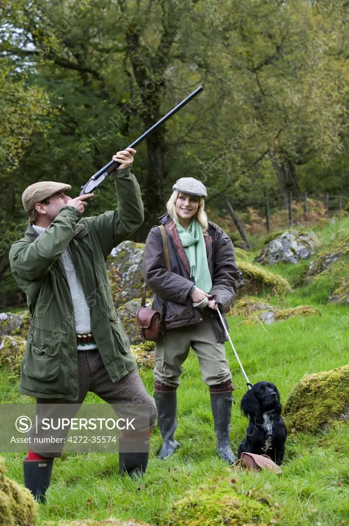 North Wales, Snowdonia ; Gilar Farm. A man and woman out shooting with their spaniel retriever.  (MR)