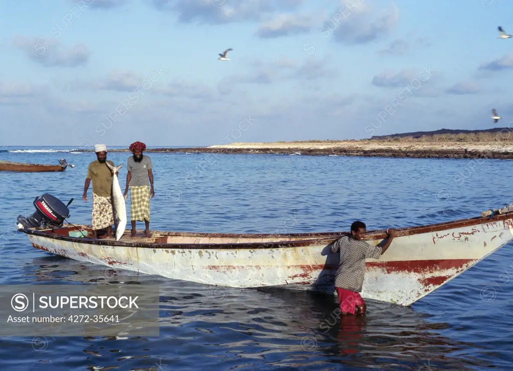 Fishermen hold up a 21kg Kingfish caught off Sekra, a fishing village on Socotra's north coast. The island's coastal population depends almost entirely on fishing as its principal source of livelihood with shark, kingfish and tuna being the most important commercial species.
