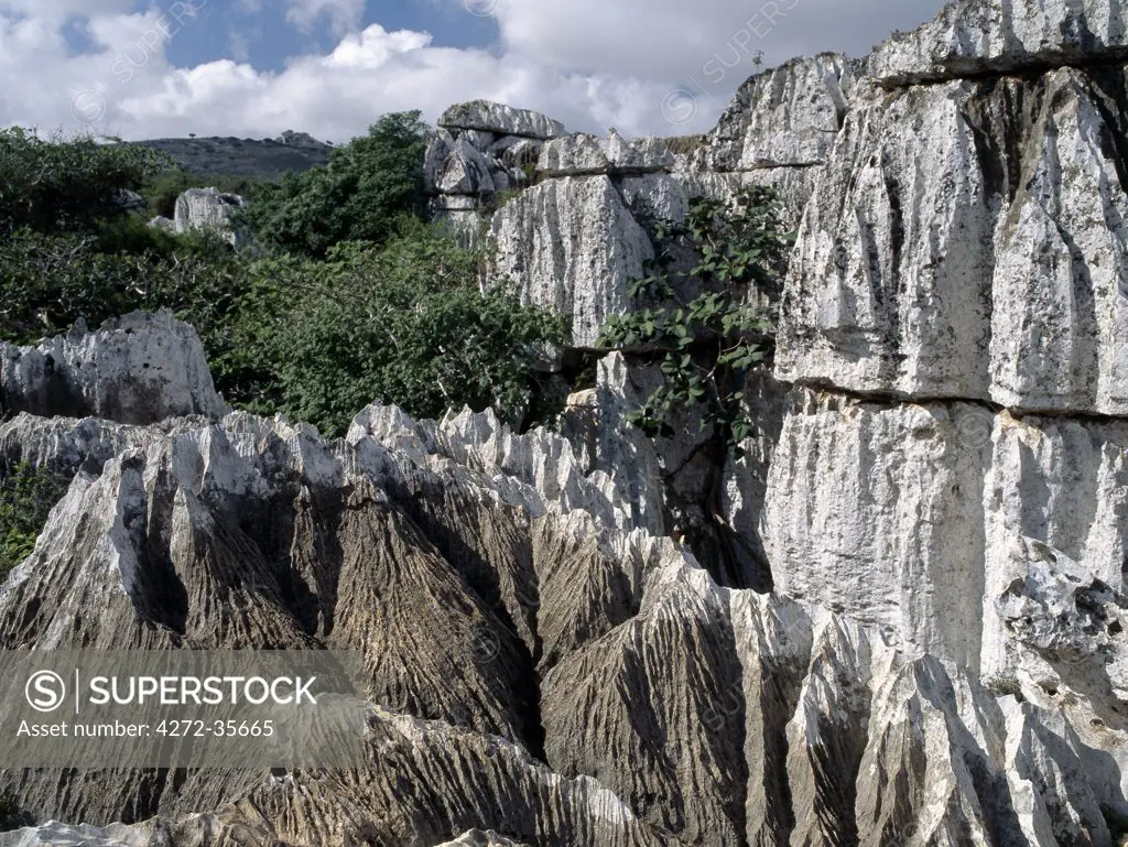 Karst limestone in the Homhil Mountains. The island is composed of igneous and metamorphic rocks of pre-Cambrian age overlain by a limestone plateau.  This plateau drops in steep, almost vertical, escarpments to the coastal plains or directly to the sea.