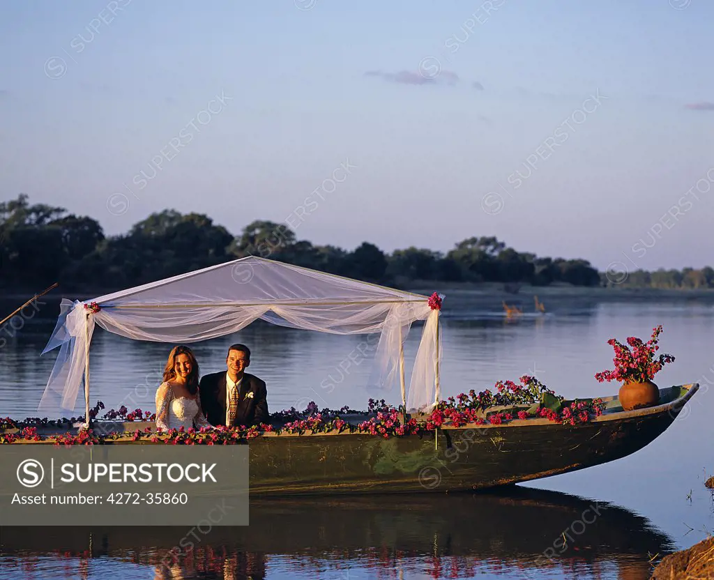 Zambia, South Luangwa National Park, Robin Pope Safaris. Bush wedding at RPS; bride and groom going away in a safari gondola on the Luangwa River.