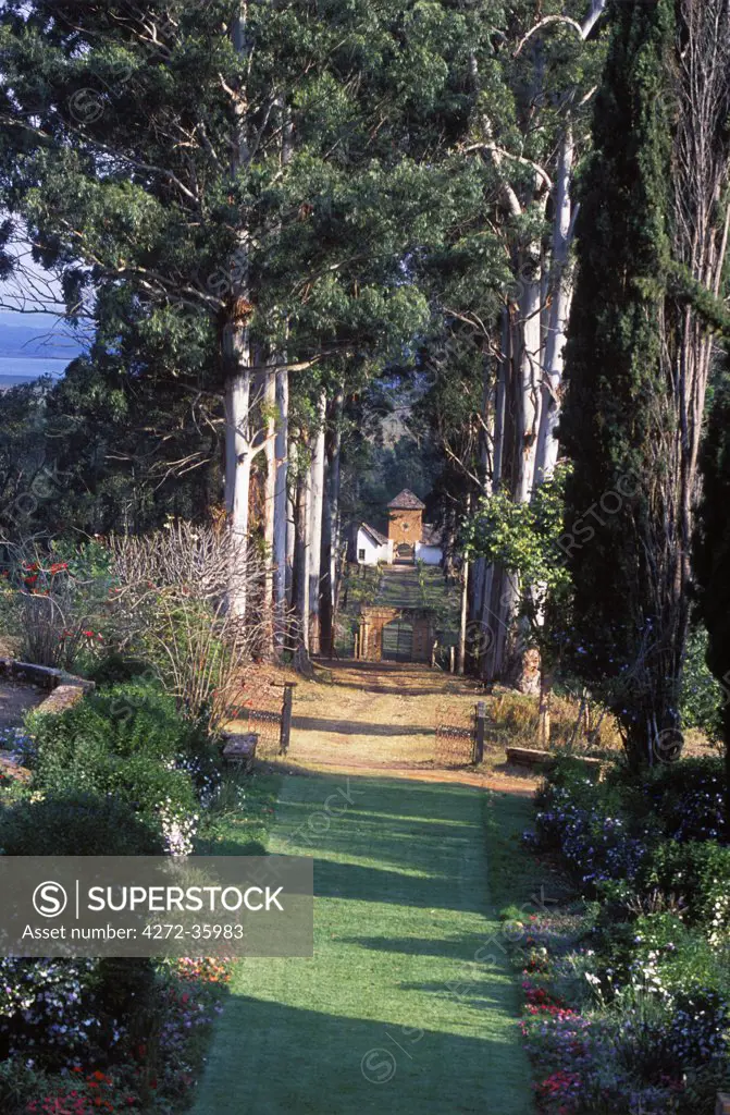 The lawn runs down to the eucalyptus avenue in the garden of Shiwa House.