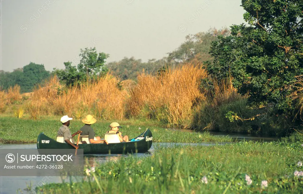 Canoeing on one of the side channels of the Zambezi.