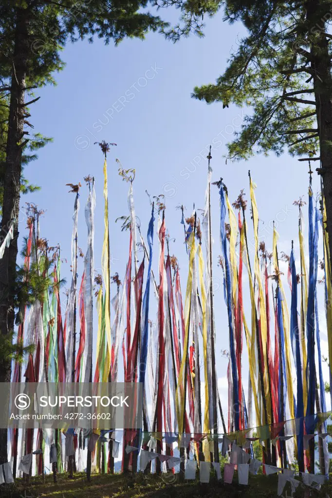 Prayer flags on a hilltop overlooking the Chumey Valley.