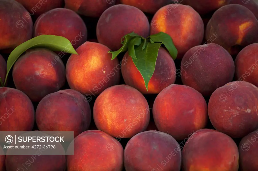 Croatia, Split, Central Europe. Peaches at the market