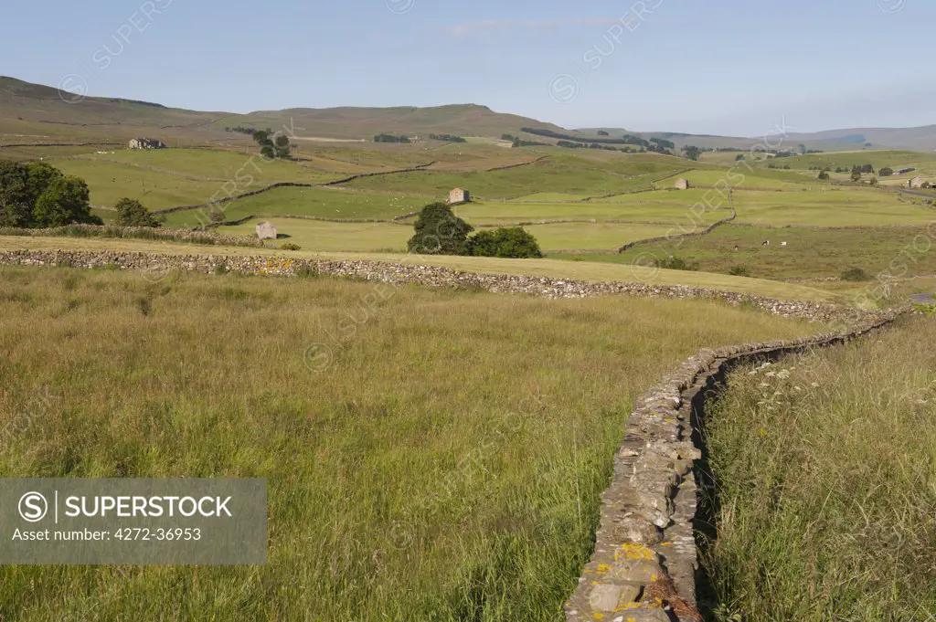 Scenic view across the Wensleydale Valley, Yorkshire Dales National Park, North Yorkshire