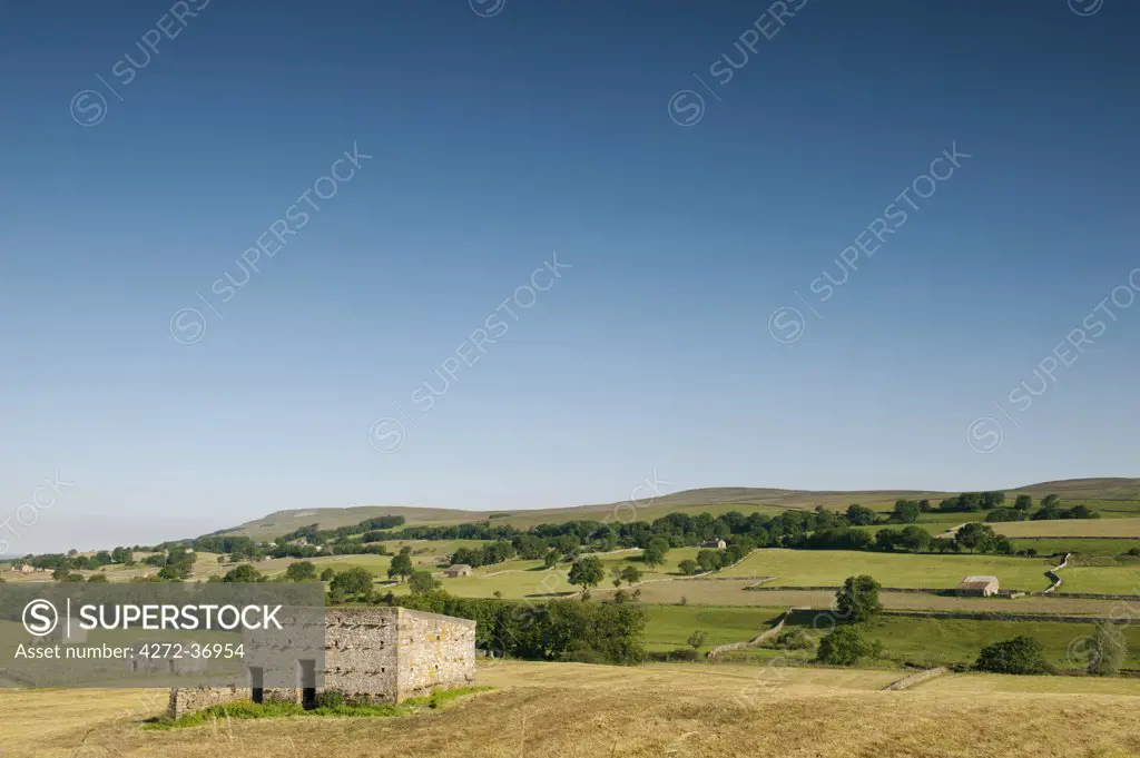 Scenic view across the Wensleydale Valley, Yorkshire Dales National Park, North Yorkshire