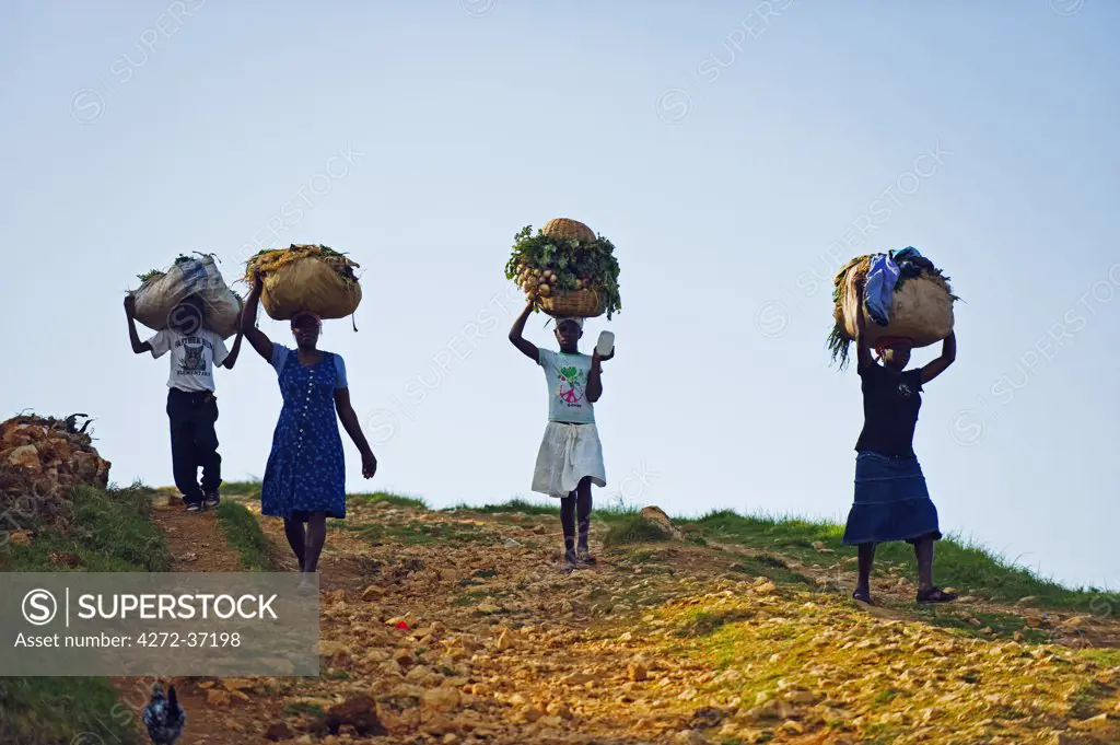 The Caribbean, Haiti, Port of Prince, Kenscoff mountains, women carrying food