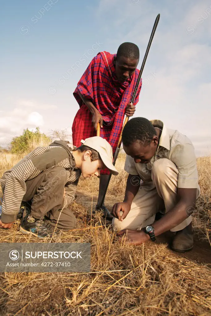 Boy with Maasai guides looking for baboon spiders in Elerai Conservancy, near Amboseli National Park, Kenya. The tarantulas can be lured from their burrows by scratching a grass stem on the ground, imitating the sound of passing prey, such as crickets and beetles.