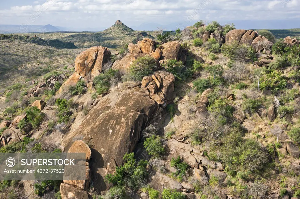 Ancient inselbergs and bare rock outcrops of varying dimensions are a feature of the semi-arid regions of Samburu District.