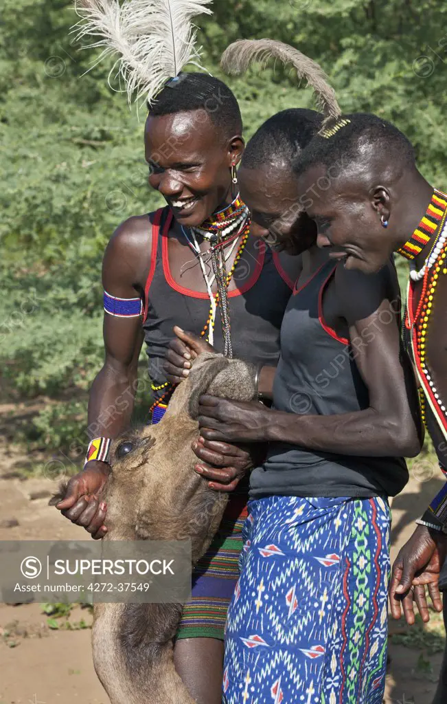 Pokot warriors hold the head of a slaughtered camel during a Sapana ceremony