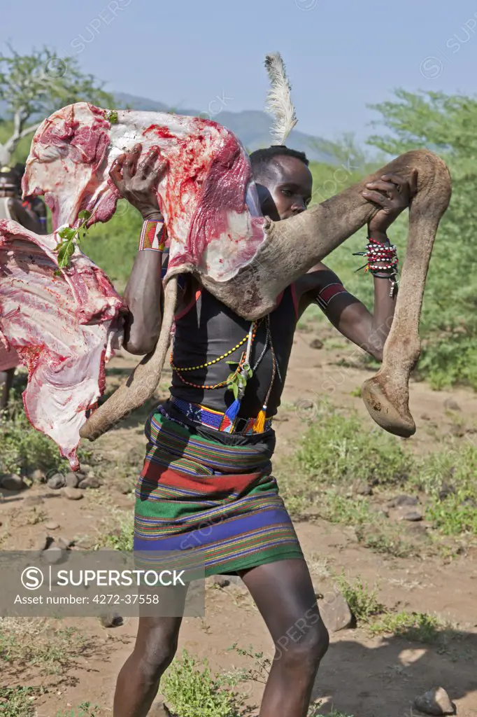 After a Pokot initiate has speared an animal during his Sapana ceremony, the meat will be roasted and apportioned according to tradition.