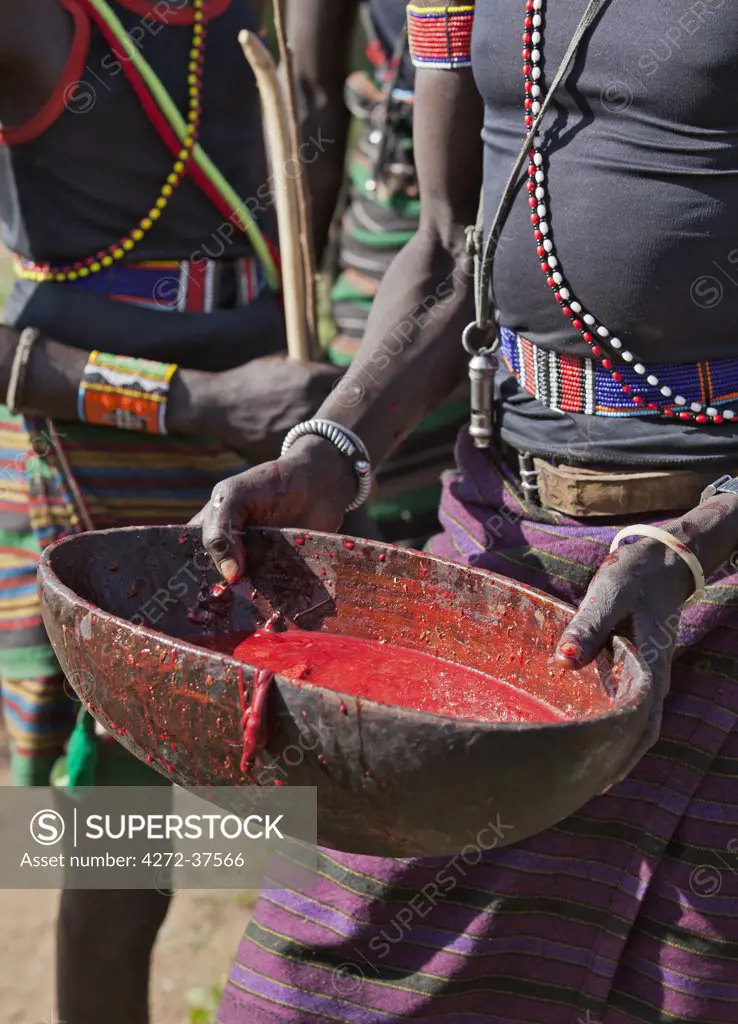 After an animal is speared during a Pokot Sapana ceremony some of its blood is collected in a wooden bowl to mix with milk later in the ritual.