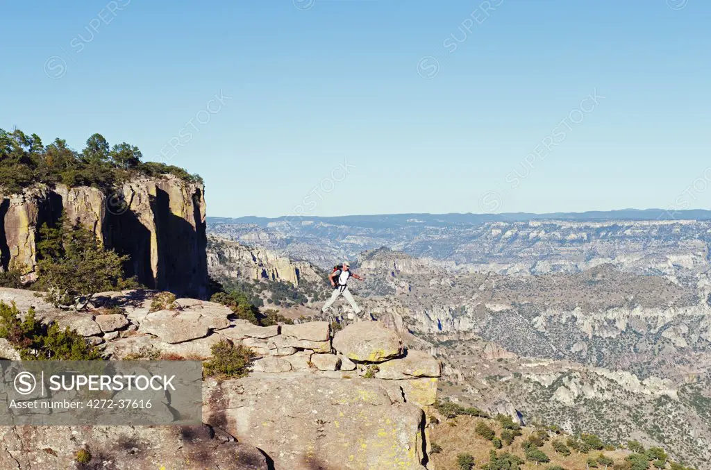 North America, Mexico, Chihuahua state, Creel, Barranca del Cobre, Copper Canyon (MR)