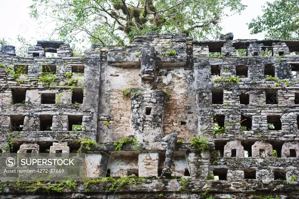 North America, Mexico, Chiapas state, Yaxchilan, Mayan ruins,