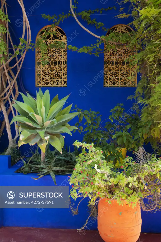 Jardin Majorelle, The Majorelle Garden is a botanical garden in Marrakech, Morocco.