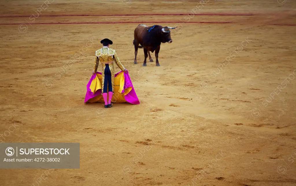 Spain, Andalusia, Seville; A toreador provoking a bull during a corrida