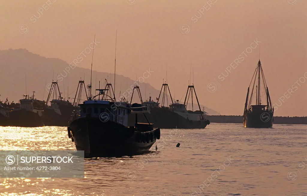 Fishing boats in the harbour of Cheung Chau at sunset, Hong Kong