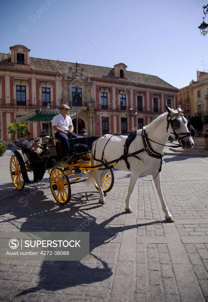 Spain, Andalusia, Seville; Horse-drawn carriage in the historic centre