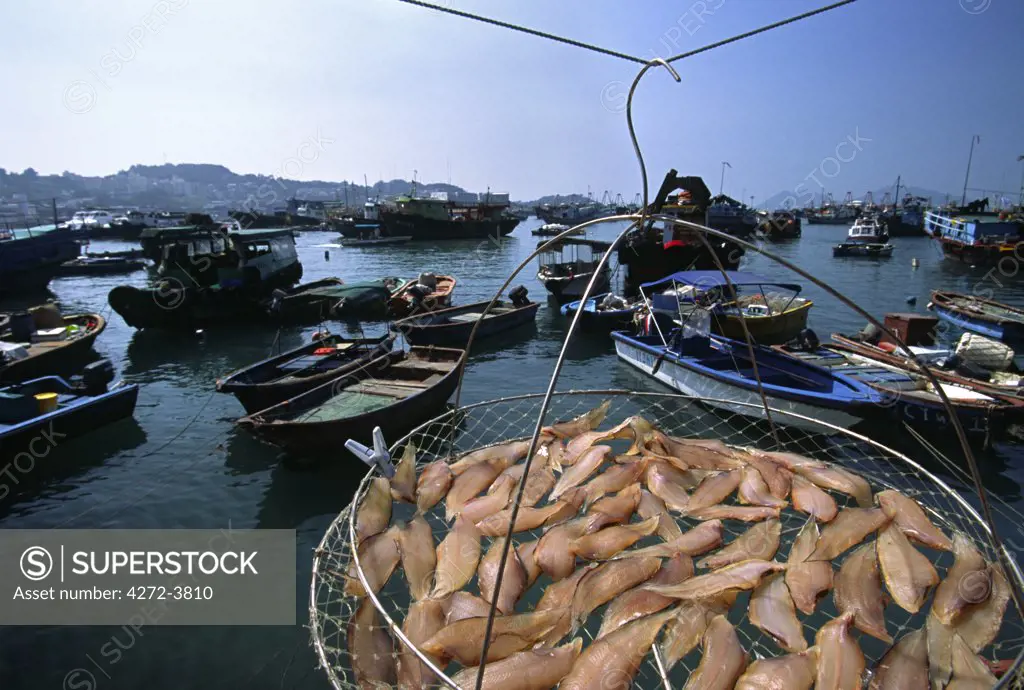 Fish is hung out to dry over the harbour on the outlying island of Cheung Chau in Hong Kong. Fishing and agriculture remain important industries on the island of thirty thousand inhabitants.