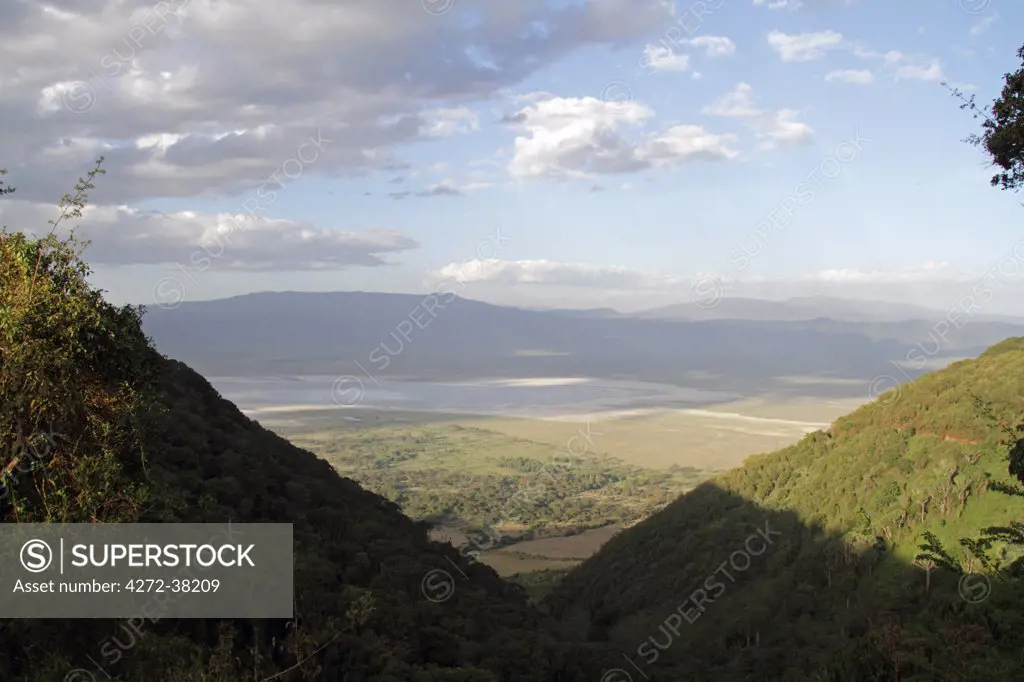 View of Ngorongoro Crater from the rim of the caldera, Tanzania.