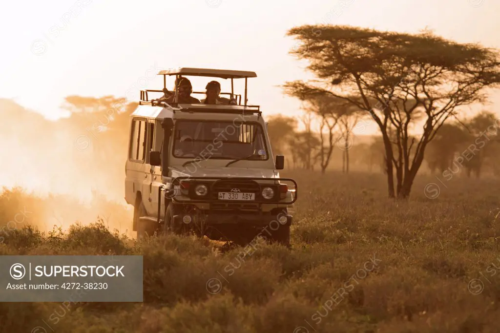 Safari vehicle on a game drive at dusk in the Ndutu region of the Serengeti National Park, Tanzania.