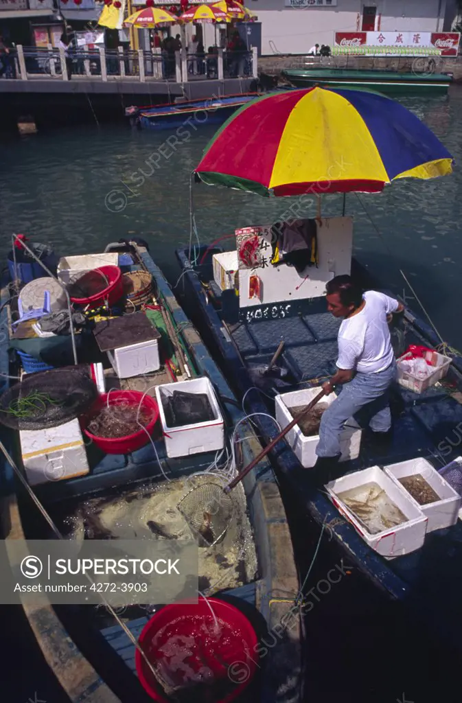 A fisherman scoops up live fish from a tank for restauranteurs. The village of Tai O on Lantau Island, Hong Kong is renowned for its fresh and dried seafood.