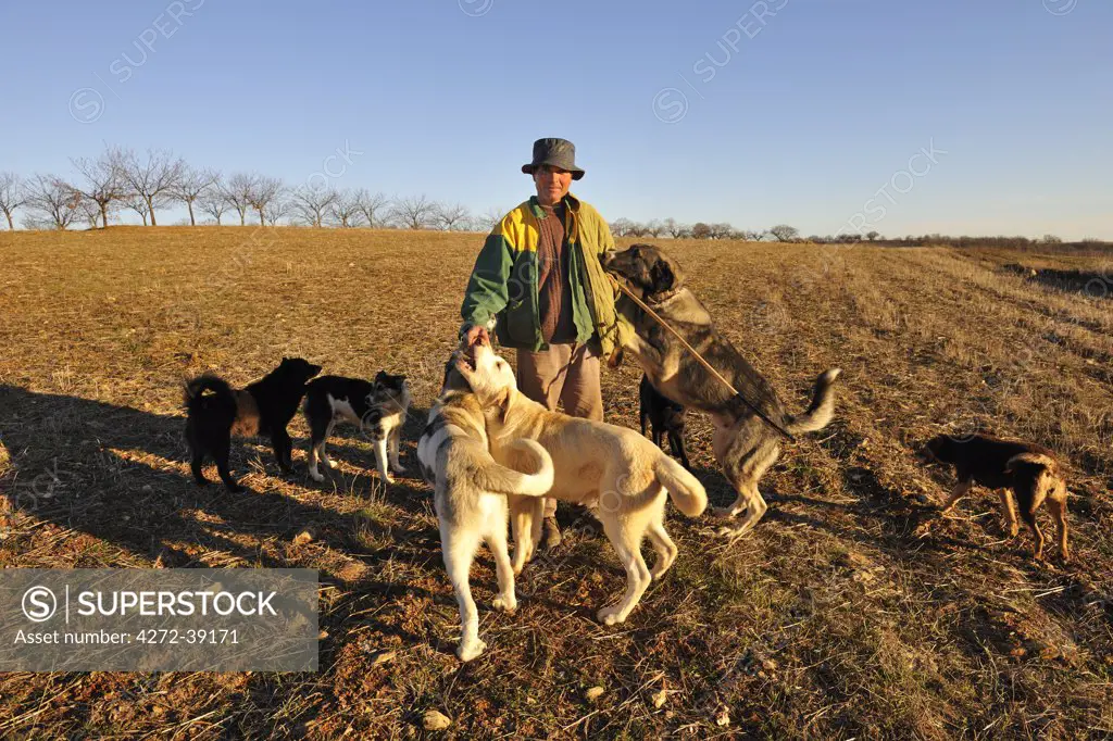 A shepherd in Tras os Montes. Portugal