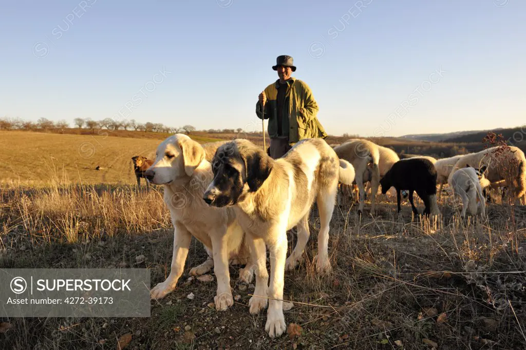 A shepherd in Tras os Montes. Portugal