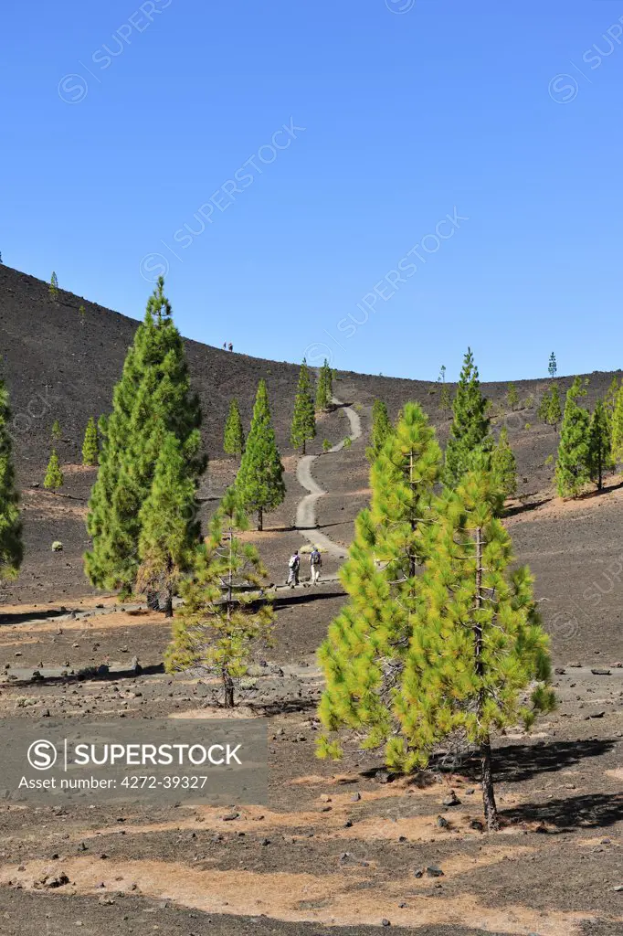 Samara volcano in the Teide National Park (Parque Nacional del Teide). This park is one of the most visited National Parks in the world. It is centered around Teide volcano, 3718m high, the highest mountain of Spain. Tenerife, Canary islands