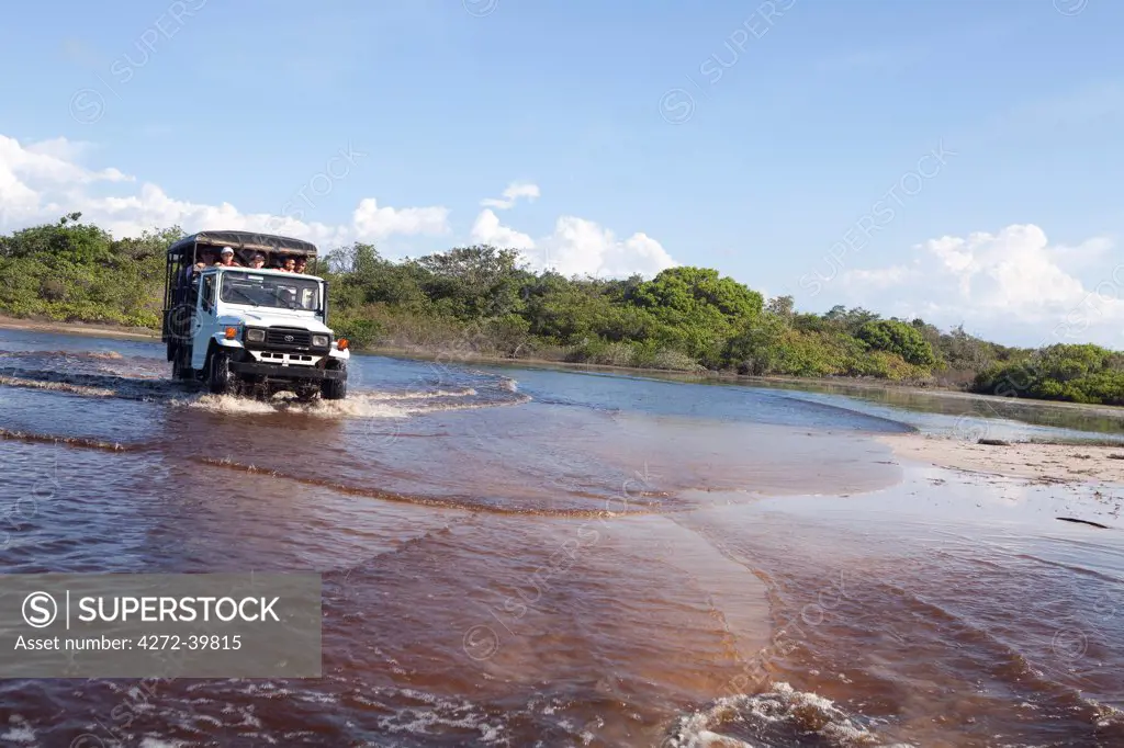 South America, Brazil, Maranhao, Parque Nacional dos Lencois Maranhenses, a Toyota Bandeirante crosses a black water creek in the Lencois Maranhenses National Park