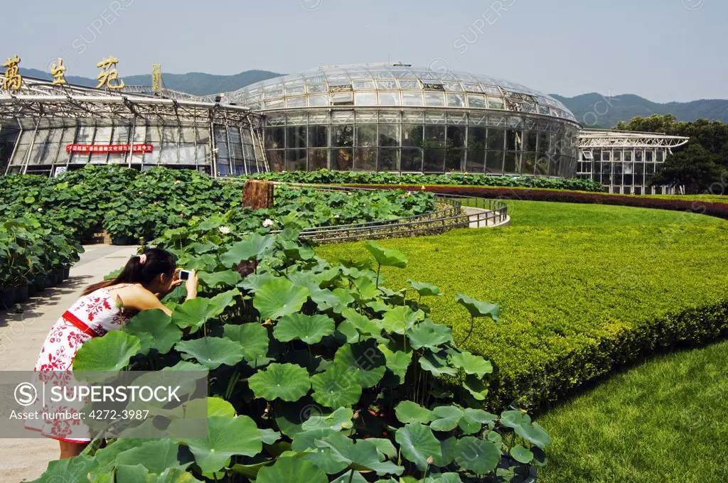 A girl taking photos at the Botanical Conservatory built in 1999, Beijing Botanical Gardens, China