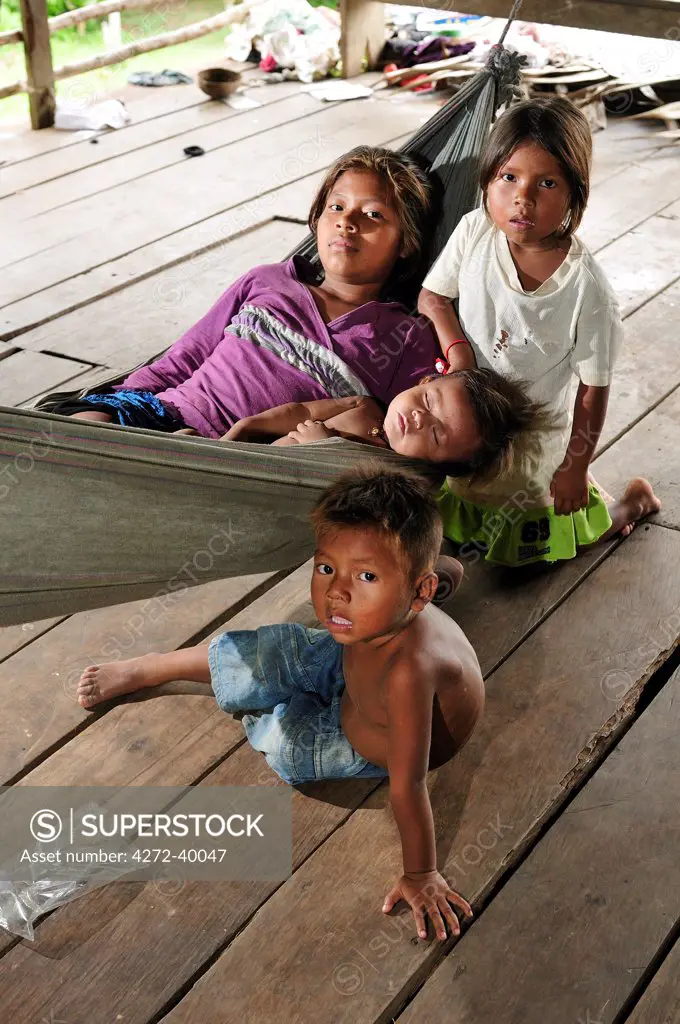 Indian woman with children lounging in hammock, Amacayon Indian Village, Amazon river, Puerto Narino, Colombia