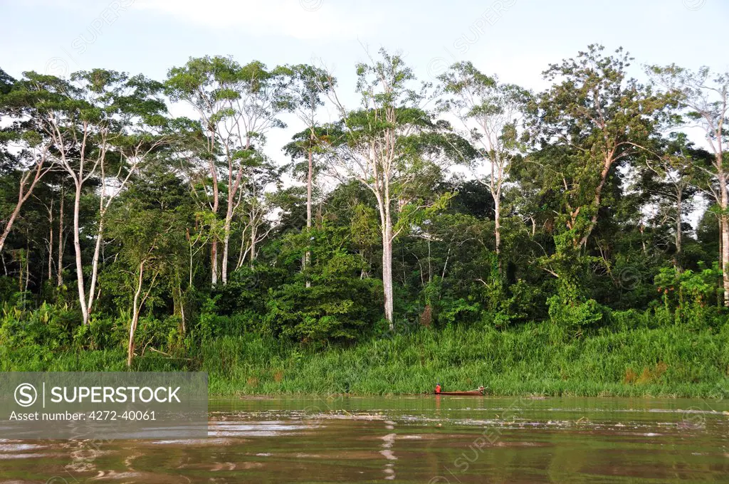 Amazon River, near Puerto Narino, Colombia