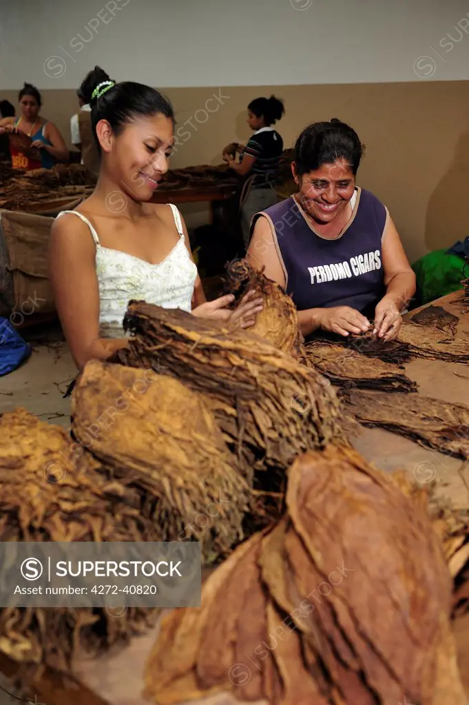 Workers in a Cigar factory, Nicaragua, Central America