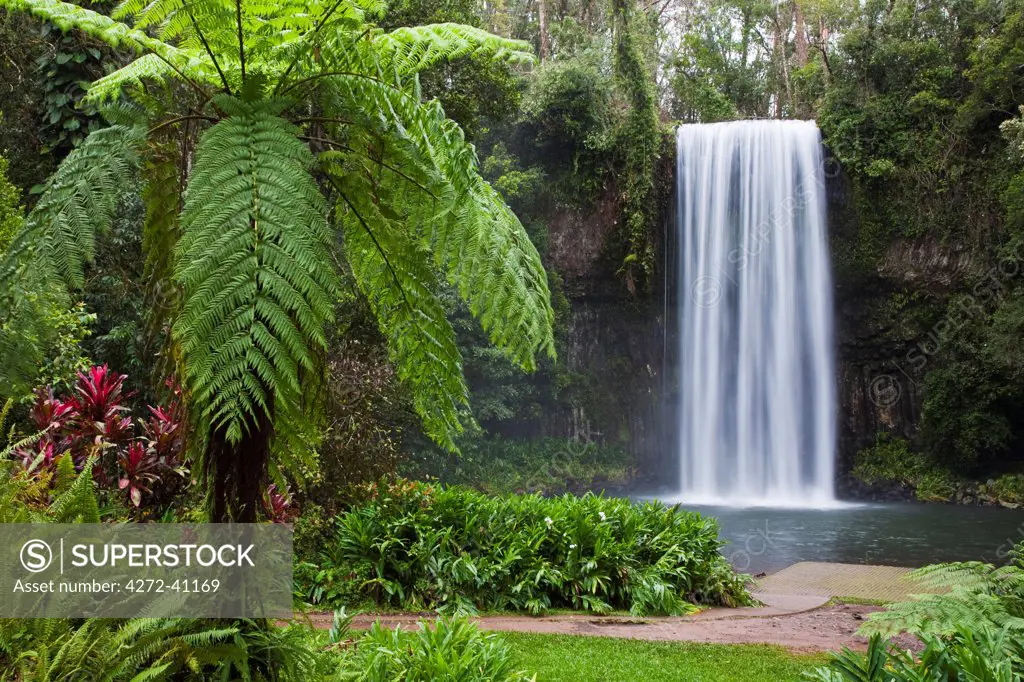 Australia, Queensland, Millaa Millaa.  Millaa Millaa Falls on the Atherton Tablelands near Cairns.
