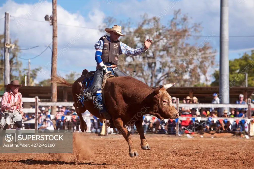 Australia, Queensland, Mt Garnet.  Bull rider in action at Mt Garnet Rodeo.
